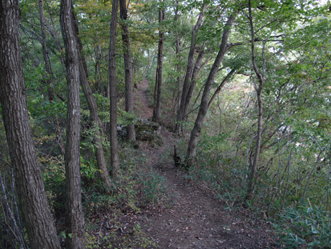 20161104hike (293)
